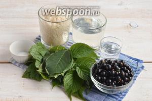 Для приготовления ликёра нам понадобится чёрная смородина, вода, водка, лимонная кислота, листья чёрной смородины, вишни и малины.