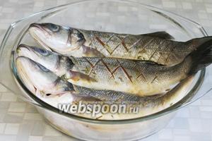 Замариновать в приготовленном маринаде. Оставить в холодильнике под крышкой на необходимое время (я мариновала для ужина часов 5), периодически переворачивая рыбу, чтобы маринад пропитал её всю.