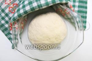 Готовое тесто выкладываем в ёмкость, смазанную оливковым маслом. Накрываем полотенцем и отправляем в тёплое место на 30-40 минут.