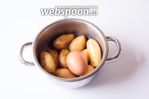 Перво на перво ставим вариться картошку и яйцо. Не обязательно в одной кастрюле, но, в любом случае, яйцо должно быть сварено вкрутую, а картошку такого размера следует варить после закипания минут 15.