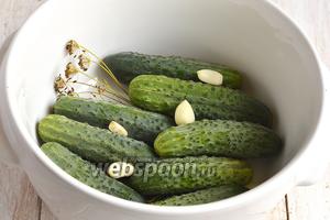 Огурцы помыть. Сложить в кастрюлю (можно использовать для этого трёхлитровые банки). Прослаивать укропом и очищенными дольками чеснока.