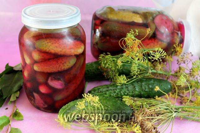 Фото Огурцы маринованные со свёклой под капроновыми крышками