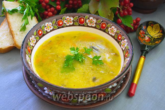 Фото Рассольник с курицей и грибами