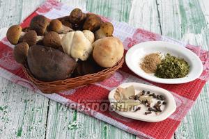 Для приготовления грибного порошка на зиму нам понадобятся лесные грибы, лавровый лист, перец чёрный горошком, гвоздика, петрушка сушёная, кориандр молотый.