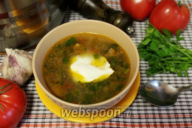 Фото Рассольник мясной с гусиными потрошками