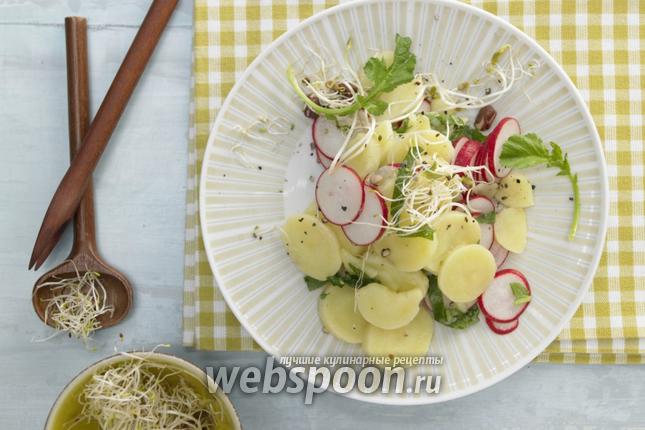 Фото Картофельный салат с редисом