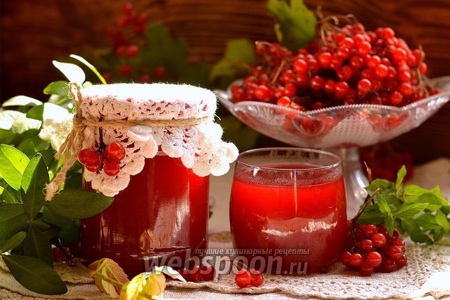 Фото Калиновый сок на зиму