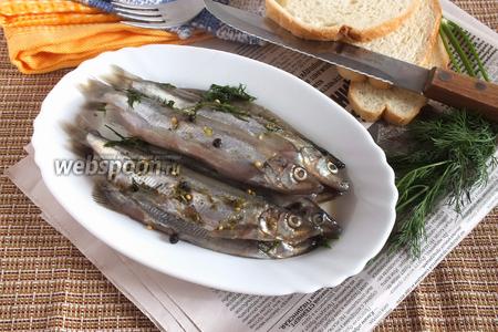 Соленая рыба в домашних условиях рецепт