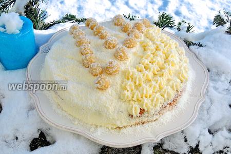 Торт «Зимняя вишня» рецепт с фото, как приготовить на irhidey.ru