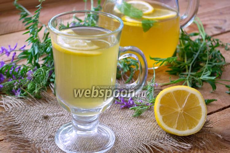 Фото Домашний лимонад с зелёным чаем и мятой