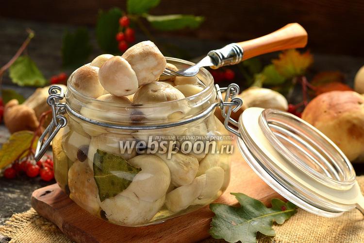 Белые маринованные грибы рецепт с фото, как приготовить на Webspoon