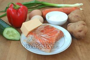 Для салата нам понадобится сёмга солёная (у меня домашняя), картофель, морковь, сладкий перец, свежий огурец, яйца, зелёный лук, твёрдый сыр и майонез.