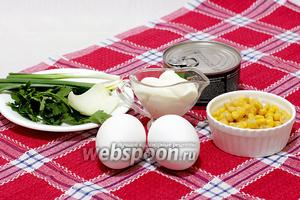Для приготовления салата возьмите баночку филе тунца в масле, сладкую кукурузу, вареные яйца (их количество можно увеличить по желанию), свежую петрушку, зелёный и репчатый лук (последнего хватит и 1/4), майонез.