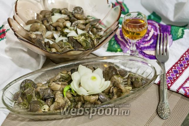 Фото Маслята солёные