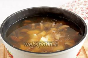 Картофель добавить в грибной бульон после 40 минут варки. Посолить по вкусу, добавить специи для супа. Я обычно добавляю смесь сухих кореньев, они продаются в измельчённом сухом виде. Варить до размягчения картофеля, мне нравится, чтобы он почти разварился.