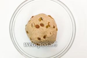 Выкладываем тесто в миску, смазанную маслом. Накрываем плёнкой и ставим в тёплое место на 1,5 часа.