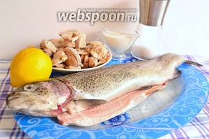 Подготовим продукты: потрошёную и очищенную тушку форели, шампиньоны, сливки, лимон, соль, чёрный перец, чеснок и масло подсолнечное для жарки.