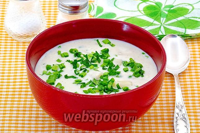 Фото Сырно-молочный суп с макаронами