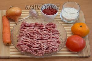Итак, для приготовления вкусных тефтелек в нашем соусе, понадобятся следующие продукты: фарш, лук, морковь, чеснок, яйцо куриное, панировочные сухари, томатная паста, мандарин, помидор, мука и специи.