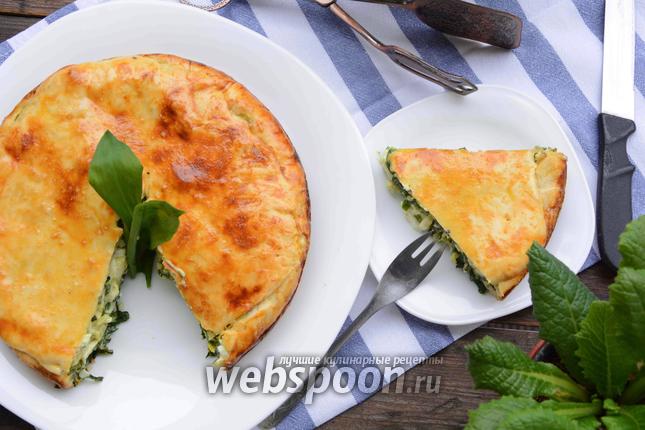 Фото Пирог с черемшой и яйцами