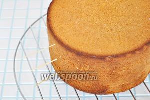 Дать бисквиту постоять 6-8 часов и можно резать на коржи. Разрезаем на 3 коржа. При желании может получиться и 5 коржей. Для того, чтобы при сборке не перепутать и уложить коржи также, как они были в целом бисквите, метим их, с одной стороны втыкая зубочистки. Это делается для того, чтобы в случае, если вы не очень ровно разрежете коржи, вы могли их ровно выложить и получить ровный, а не кривой тортик.