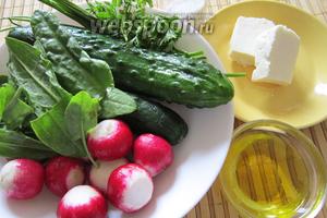 Прежде всего необходимо подготовить продукты. Нам понадобятся огурцы, редис, щавель, петрушка, мягкий сыр (на ваше усмотрение), для заправки масло растительное (по вашему выбору) и соль по вкусу.
