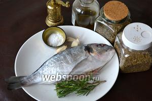 Ингредиенты для приготовления рыбы: дорада, оливковое масло и сливочное масло, чеснок, свежий розмарин, соль и перец по вкусу, смесь «испанские травы» (паприка, розовый перец, сушёный лук, розмарин, сушёный чеснок, тимьян, чёрный перец, сушёная зелень петрушки).