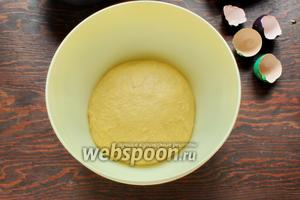 Переложить колобочек в чистую, слегка смазанную маслом, миску. Накрыть, оставить в тепле на 1-1,5 часа.