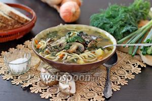 Куриный суп с вермишелью и картошкой