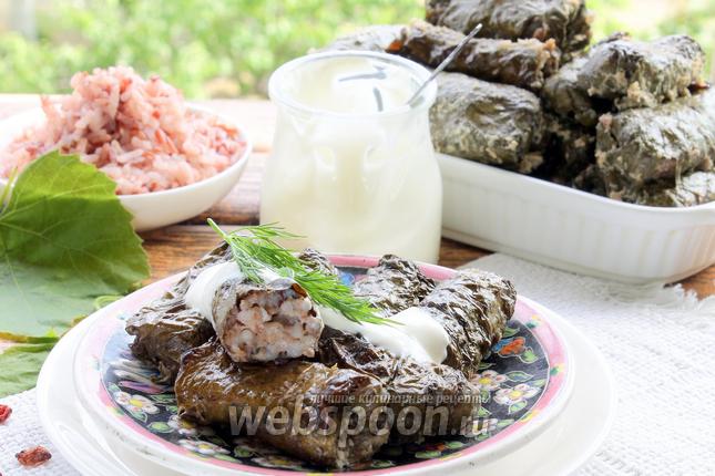 Фото Долма с красным рисом и барбарисом