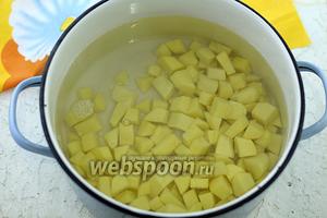 Картофель нарежьте небольшими кусочками, уложите в подходящую кастрюлю. Налейте воду. Поставьте на огонь. Доведите до кипения. Варите на небольшом огне до полуготовности.