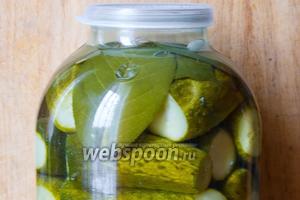 Всё! Вкусные огурчики готовы! Подавать к столу охлаждёнными. Хороши в виде закуски под водочку! А ещё вкусно получаются горячие бутерброды с такими огурчиками и сыром! Приятного аппетита!