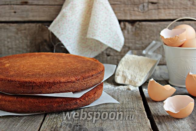 Фото Бисквит «Sponge»