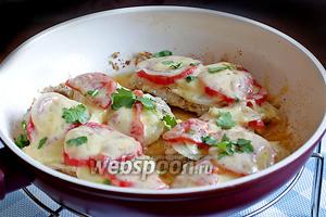 ������� �������� ���� �������� �� ��������� ������. ����� �������� �� ������ ������� � �������� ����������, ���� � ��������, ���� ��� ��������������� �����. ��������� ��������!