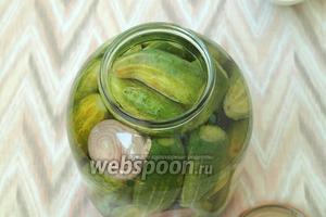 Залить банки с огурцами кипятком на 15 минут, прикрыть крышками. Воду слить в раковину и залить огурцы снова кипятком на 10 минут.