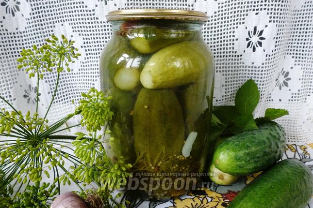 Фото Маринованные огурцы «Как магазинные»