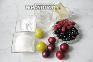 Для приготовления этого соуса потребуются следующие продукты: малина, чёрная смородина, алыча, сахар, крахмал, масло сливочное, вода.