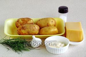 Для приготовления блюда нужно взять крупный картофель, чеснок, майонез, твёрдый сыр, зелень укропа и соль.