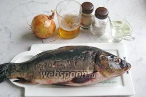 Для приготовления карпа в пиве потребуются такие продукты: карп свежий, пиво светлое, лук репчатый, подсолнечное рафинированное масло, соль и перец чёрный молотый.