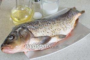 Для приготовления понадобится карп, масло растительное для жарки, мука, соль, перец, молоко. У меня рыба была уже очищенная и выпотрошенная.