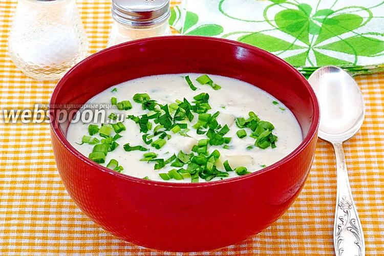 Фото Сырно-молочный суп с макаронами