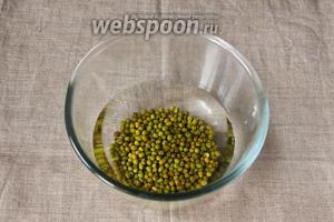 Маш сначала переберём, уберём нецелые, колотые бобы, так как они не прорастут. Затем промоем их водой. Далее заливаем их чистой водой и оставляем на ночь при комнатной температуре.