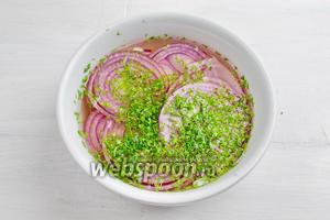 Лук очистить. Нарезать кольцами. Посыпать солью и сахаром, добавить рубленый укроп. Залить водой и уксусом. Оставить мариноваться 15 минут.