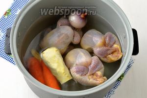 Для получения вкусного бульона все ингредиенты следует закладывать в холодную воду. Выложить в кастрюлю с водой (1600 мл) очищенные 1 корень пастернака, 1 морковь и 1 луковицу, перепелов. Приправить солью (2 ч. л.).