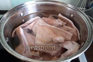 Уши замочим в воде на часок, потом помоем, поскребем, нарежем на 2-3 части и поставим вариться.