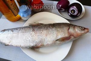 Для сугудая возьмем муксуна, лук, соль, перец, подсолнечное масло холодного отжима, яблочный уксус.
Соль, перец и уксус — количество примерное, тут дело вкуса.
