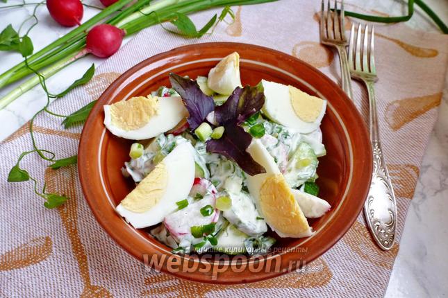 Фото Салат из редиса с огурцом и яйцом