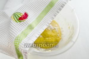 Тесто получится очень послушное. Скатать его колобком. Накрыть салфеткой. Поставить в тепло на 1,5 часа, на расстойку.