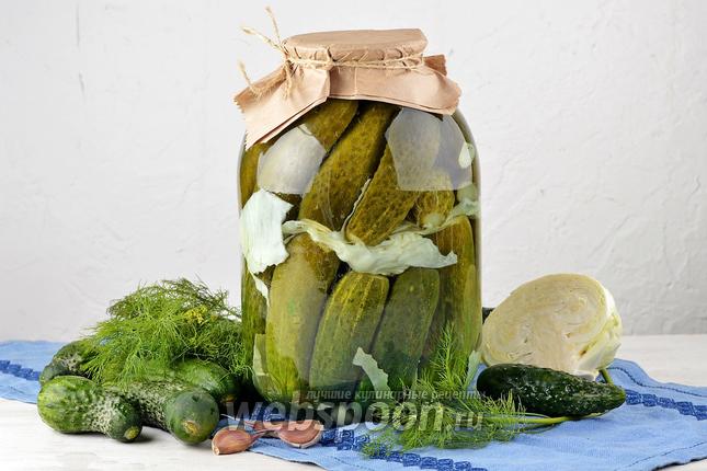 Фото Огурцы маринованные с капустой