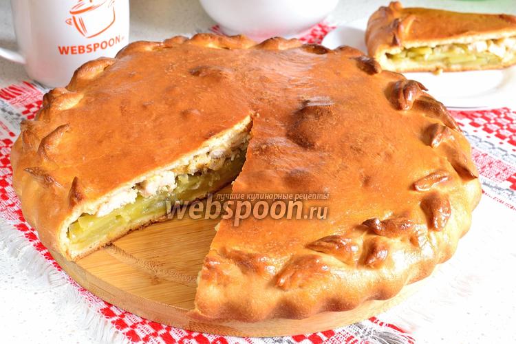 Пирог с курицей и картошкой в духовке – пошаговый рецепт с фото
